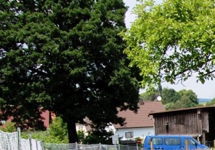 Juni..2016.eg.jpg