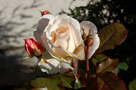 candle- light 29. September 2016.Wk.jpg