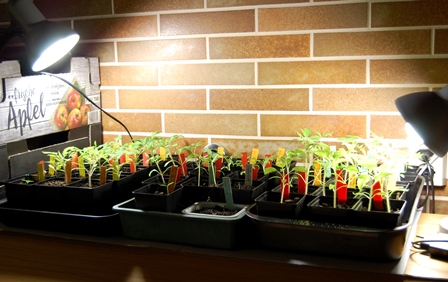 05. April 2018.Wk..jpg