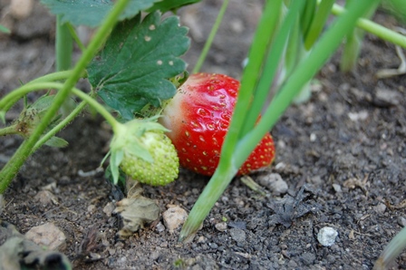 28. 05. 2018. W.k. 2.jpg