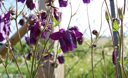 28.05. 2018.W.k. 4.jpg