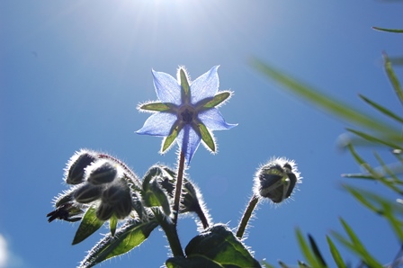 01. Juli 2018.W.k..jpg