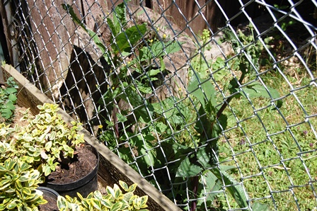 Gute Nachbarschaft 1.W.k..jpg