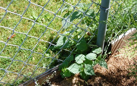 Gute Nachbarschaft 2.W.k..jpg