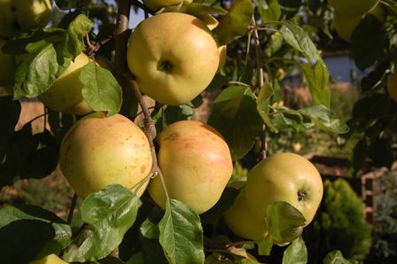 11. September 2018.W.k.jpg