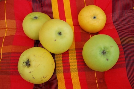 September 2018 W.k..jpg