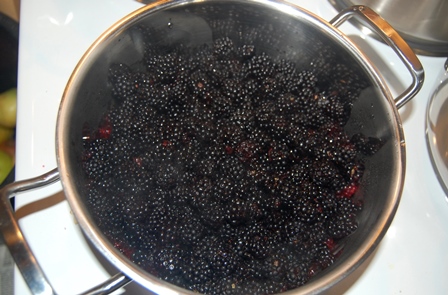Brombeeren W.k..jpg