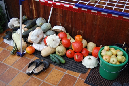 Kürbis 22. September 2018.W.k..jpg