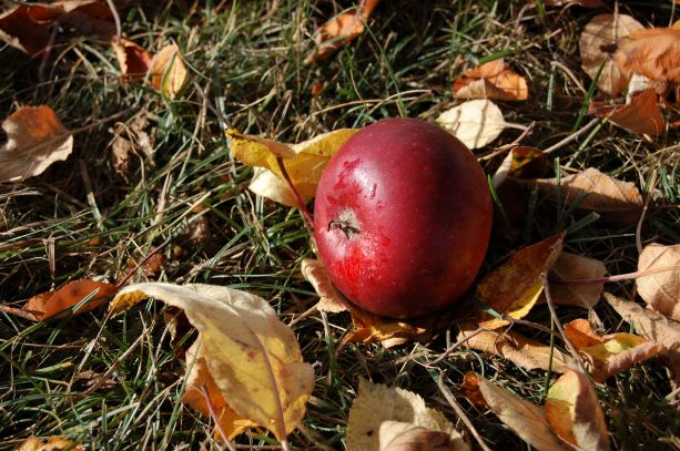 21. Oktober 2018.S..jpg