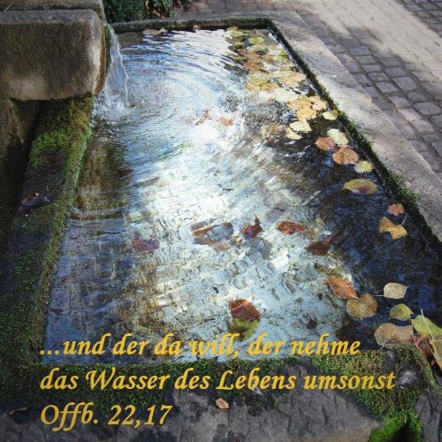 Wasser des Lebens...jpg