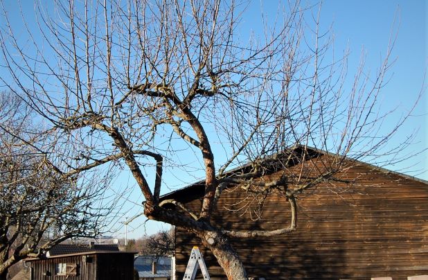 16. Februar 2019.S.jpg