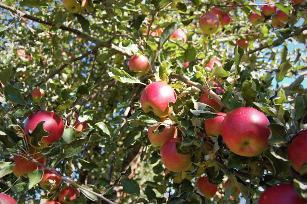 27. September 2018.S.jpg