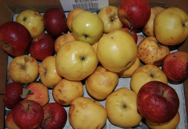 05. März 2019.S..jpg