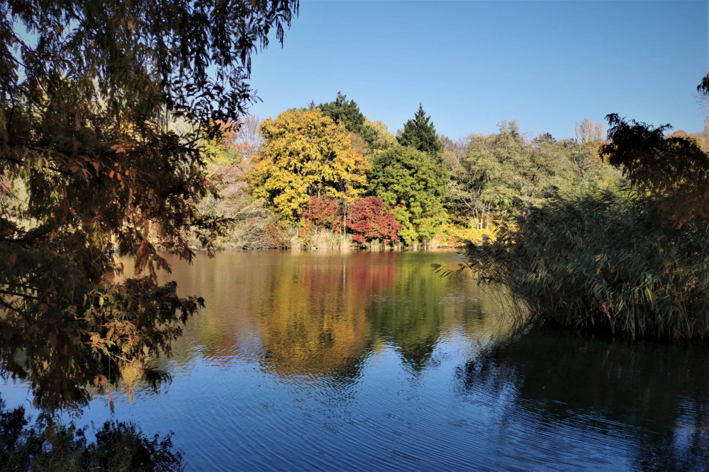 IMG_20211031_135711 70.jpg