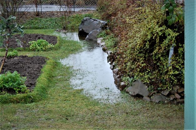 04. Januar 2022.S.jpg