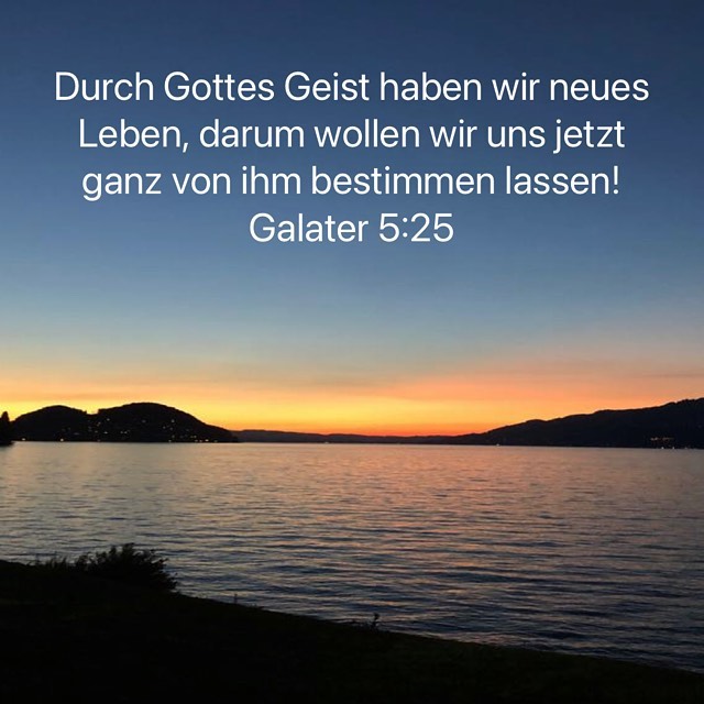 neues leben Kopie 2.jpg