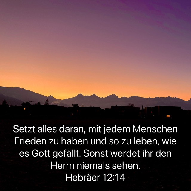 frieden leben.jpg