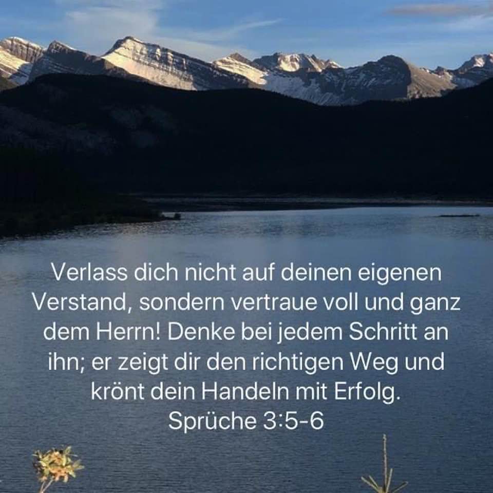 verlassen verstand.jpg