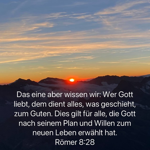 alles zum Besten.jpg