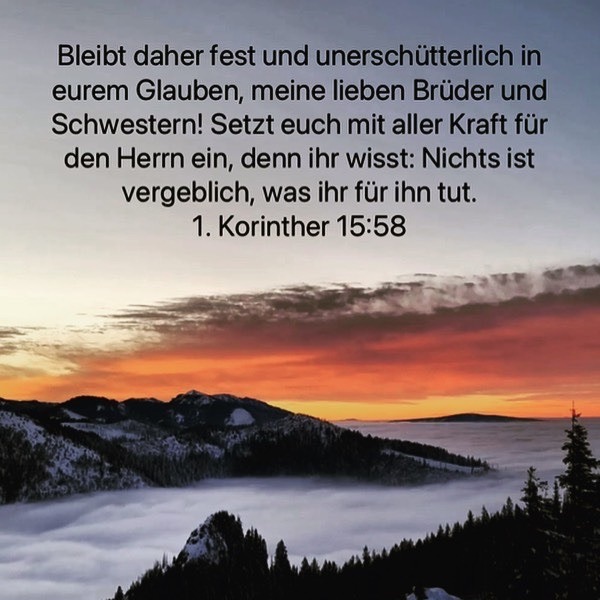 nicht vergeblich.jpg