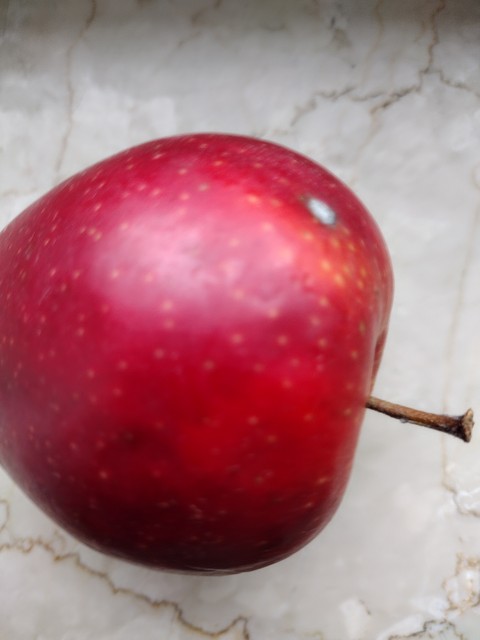 Apfel-640x640.jpg