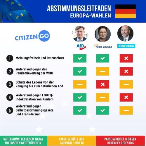 Europawahlen 2024.jpg