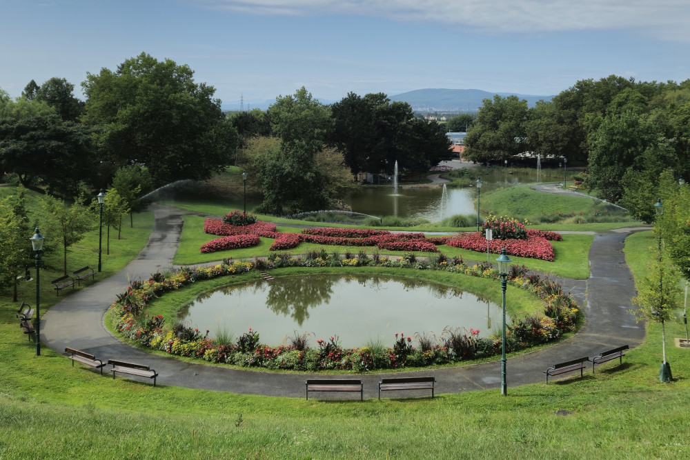 Kurpark 20260824_104050 90.jpg